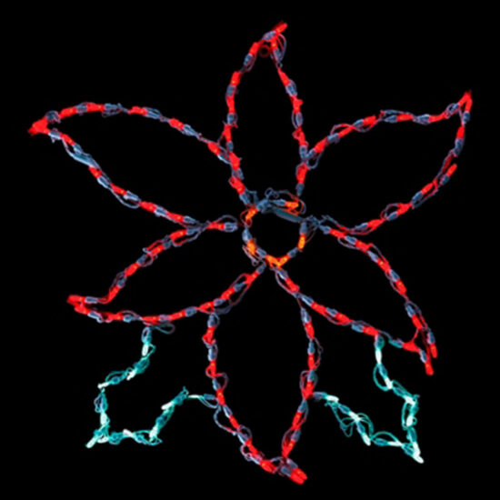 A custom poinsettia motif constructed from a dark wire frame. The fixture is illuminated using dual-color LED string lighting, predominantly featuring bright red and blue lights.