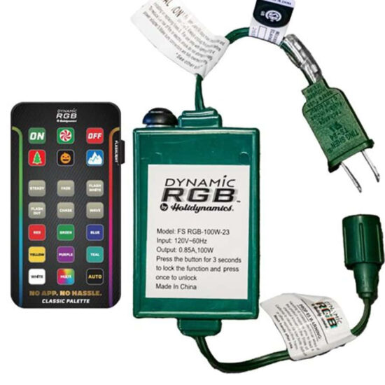 Sparkle Rgb Controller box in green with attached wires and a multi-function remote control